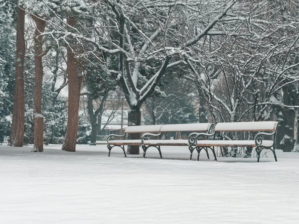 Introduction à la thérapie holistique